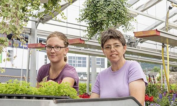 Ergänzungsleistungen Ausgleichskasse Zug